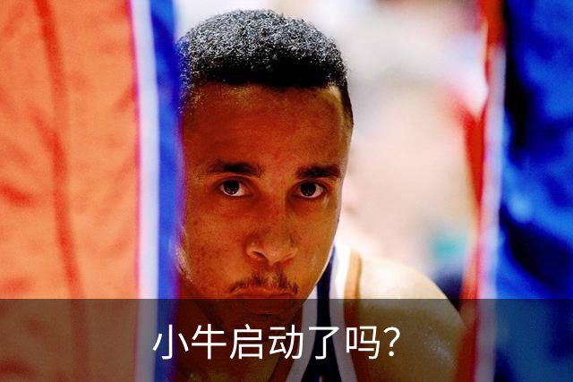 小牛启动了吗？